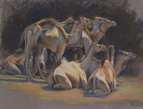 Soft pastel drawing on paper / 2025 – 05